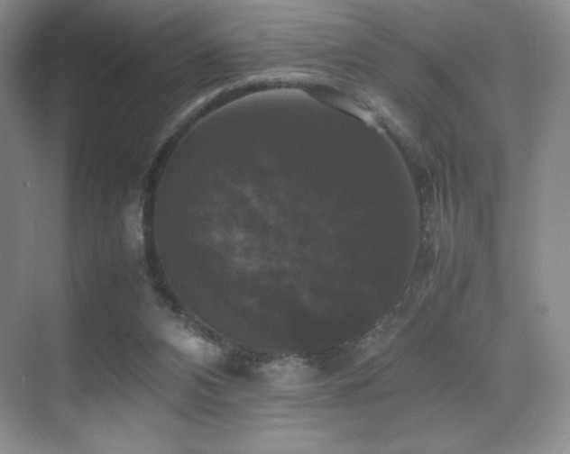 X0000070250112200606021206