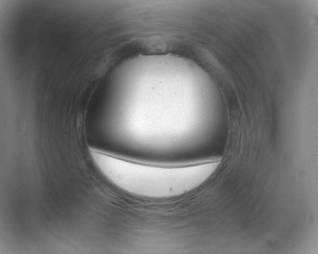 X0000070250125200606021206