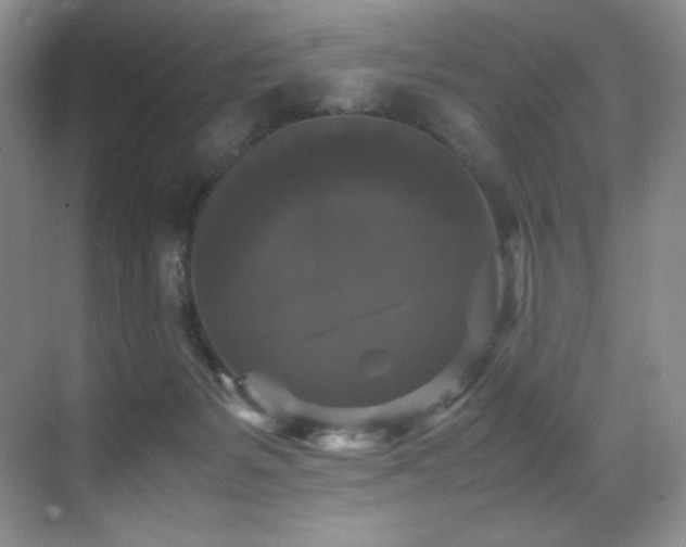 X0000070250127200606021206