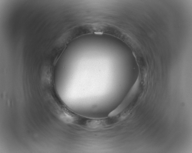X0000070250129200606021206