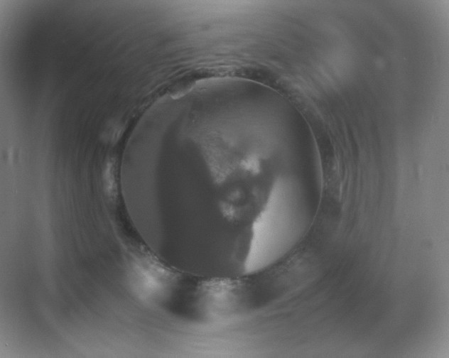 X0000070250131200606021206