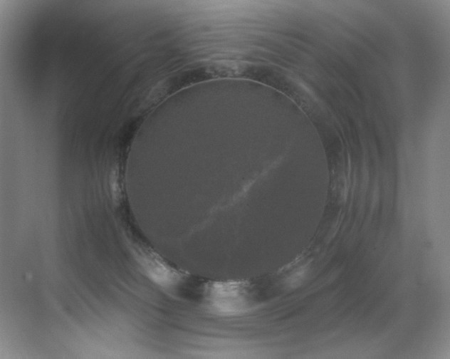 X0000070250134200606021206
