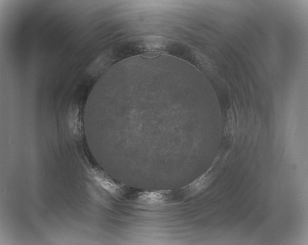 X0000070250140200606021205