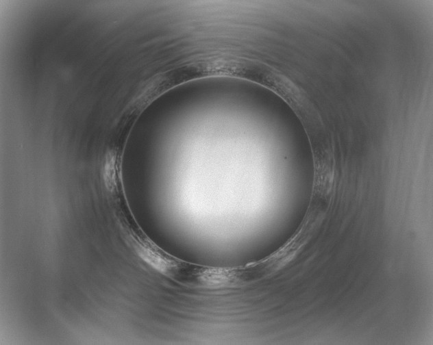 X0000070250142200606021205