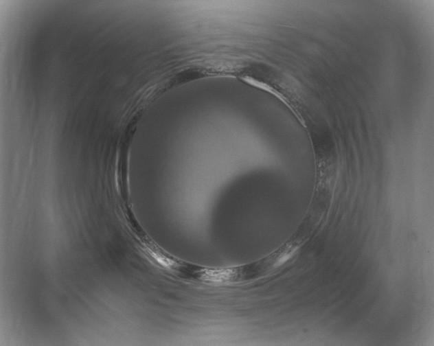 X0000070250143200606021205