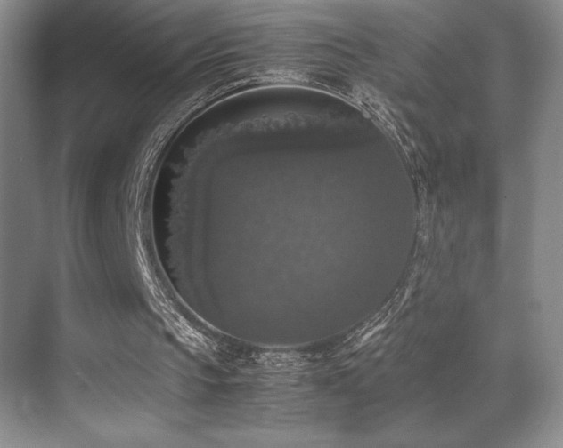 X0000070250145200606021205