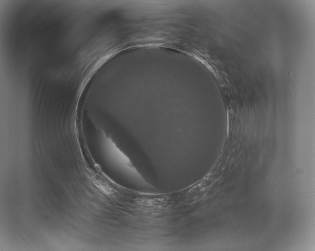 X0000070250147200606021205