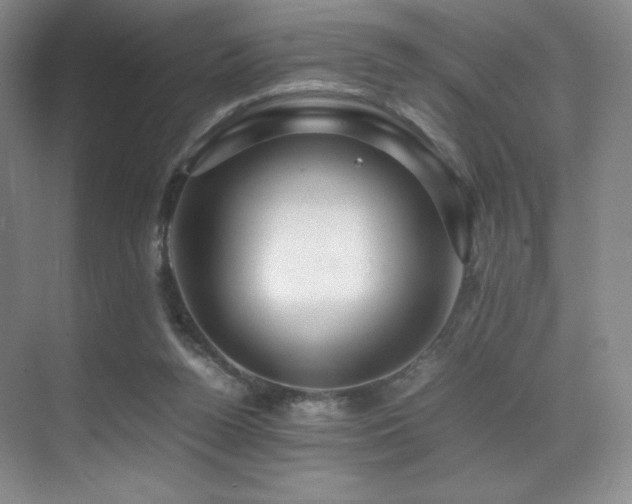 X0000070250160200606021205