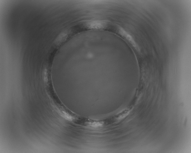X0000070250161200606021205