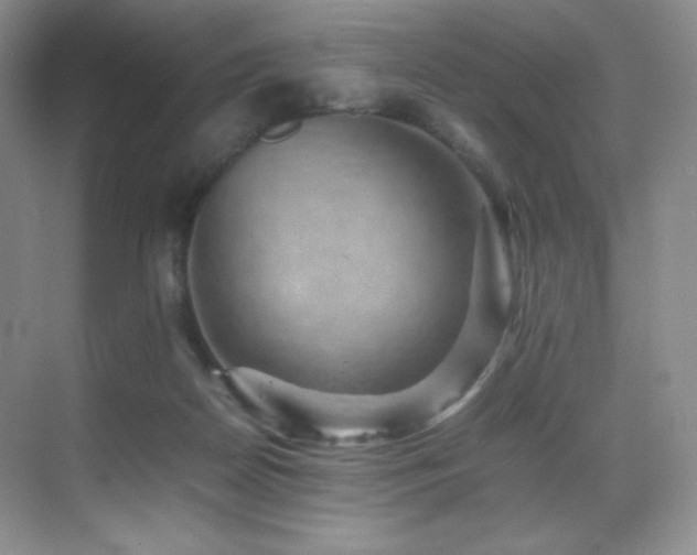 X0000070250170200606021205