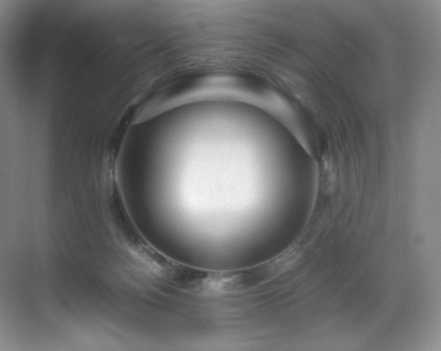 X0000070250172200606021205