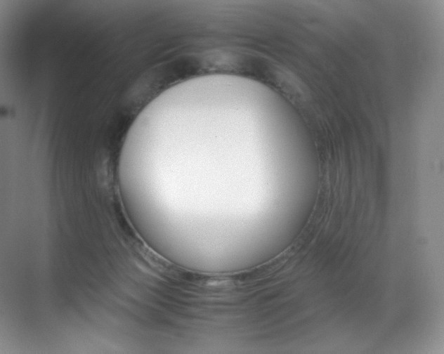 X0000070250173200606021205