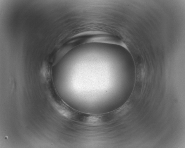 X0000070250176200606021205
