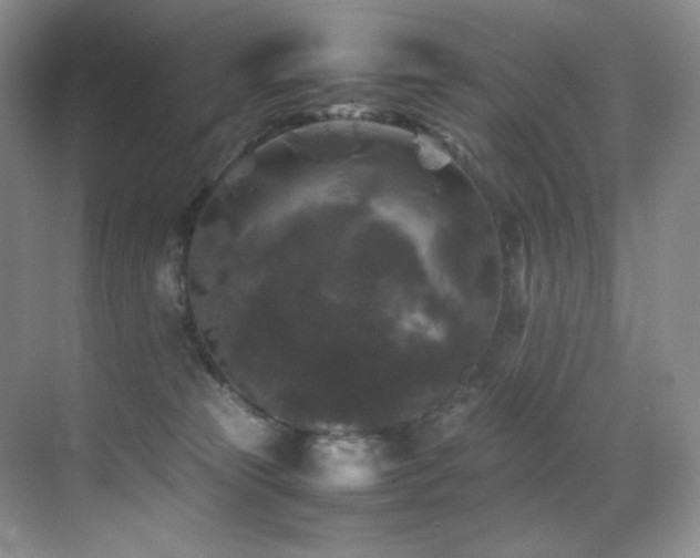 X0000070250181200606021205