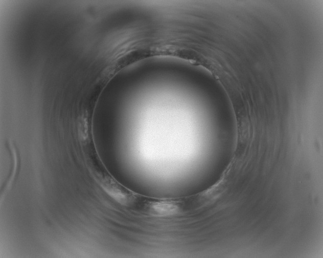 X0000070250183200606021205