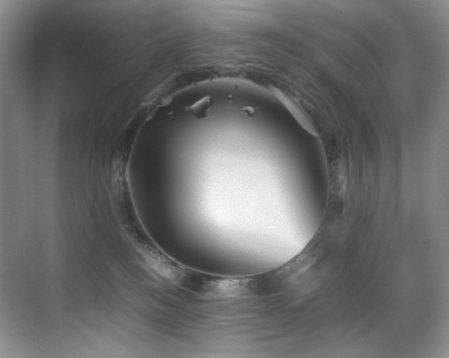X0000070250184200606021205