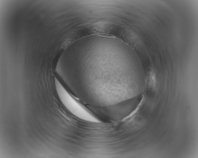 X0000070250186200606021205