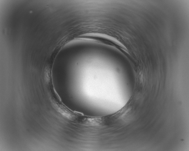 X0000070250188200606021205