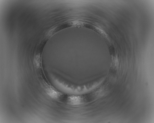 X0000070250189200606021205