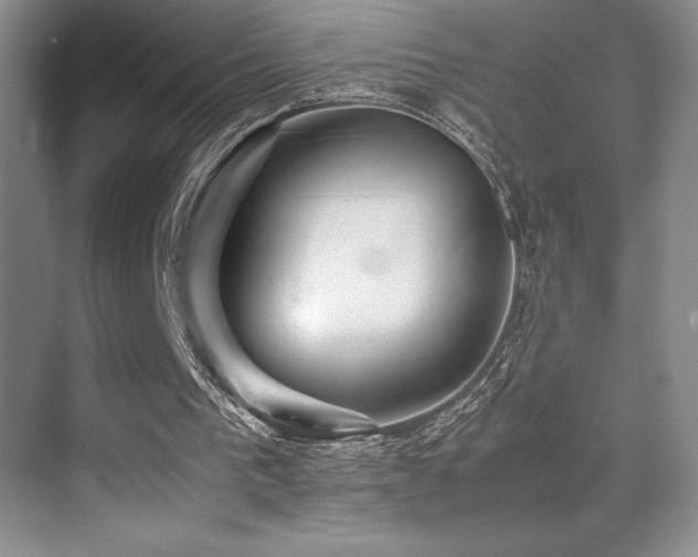 X0000070250193200606021205