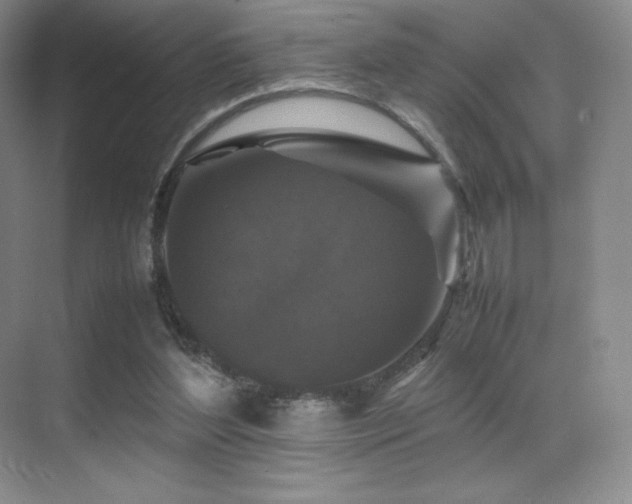 X0000070250204200606021204