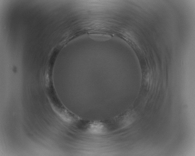 X0000070250214200606021204