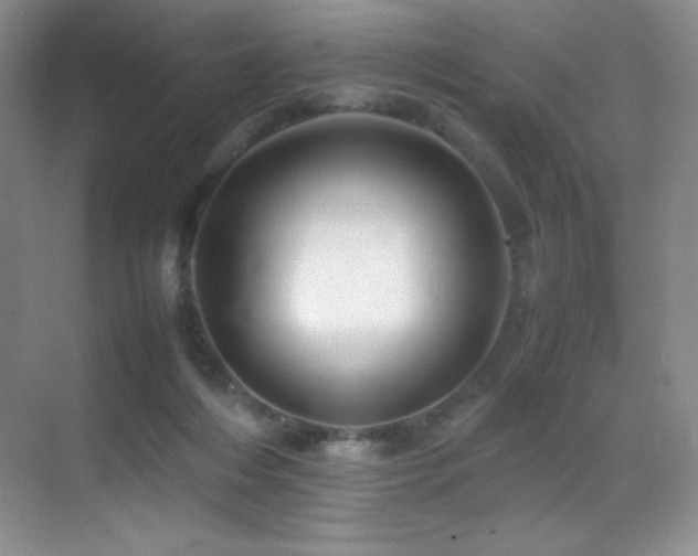 X0000070250216200606021204