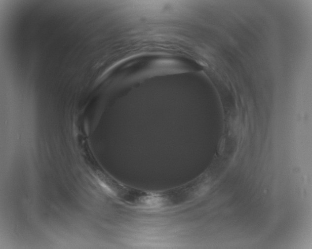 X0000070250219200606021204