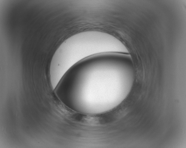 X0000070250221200606021204