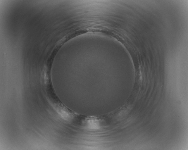 X0000070250228200606021204