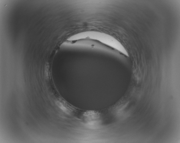 X0000070250231200606021204