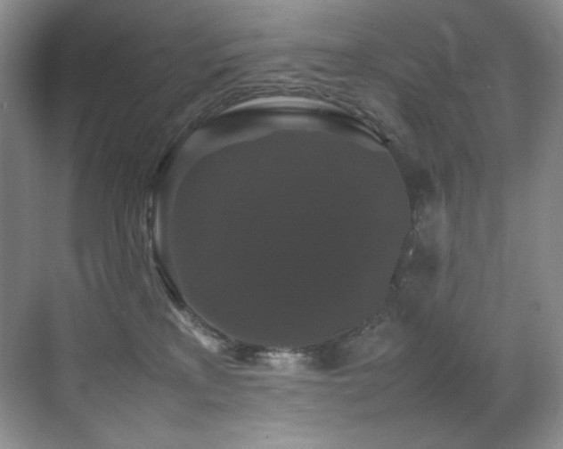 X0000070250233200606021204