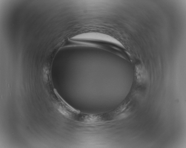 X0000070250235200606021204