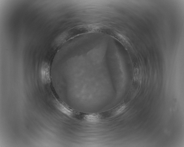 X0000070250238200606021204