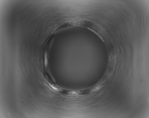 X0000070250239200606021204