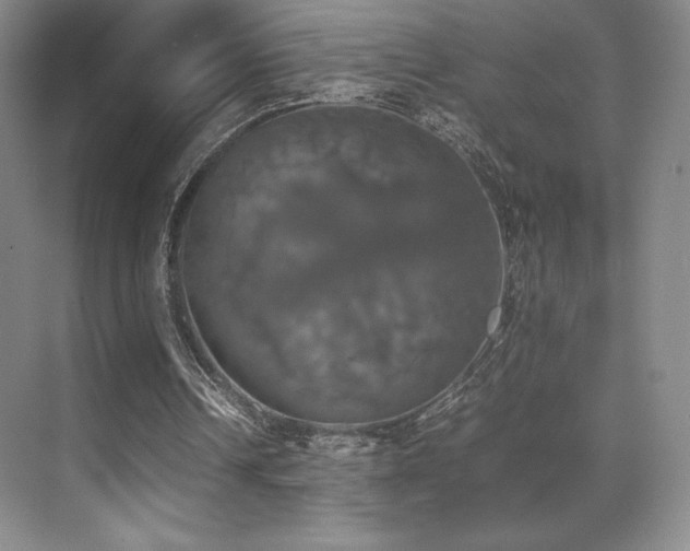 X0000070250242200606021203