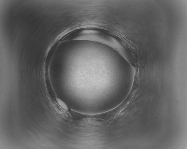 X0000070250244200606021203