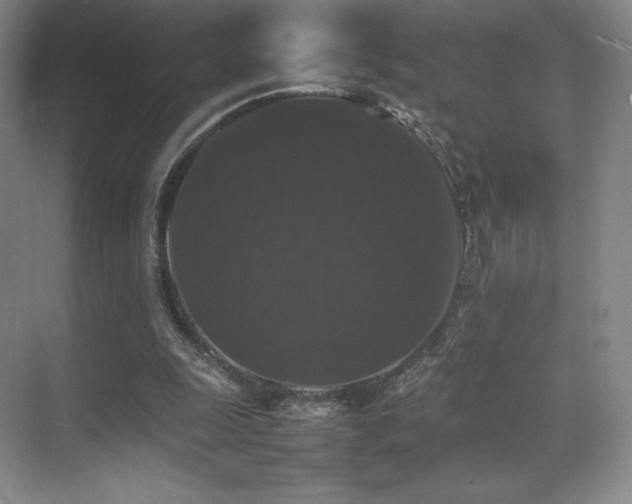 X0000070250247200606021203