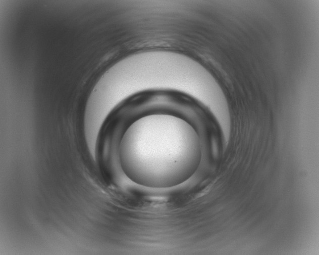 X0000070250260200606021203