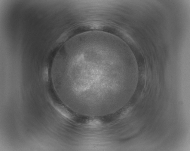 X0000070250262200606021203