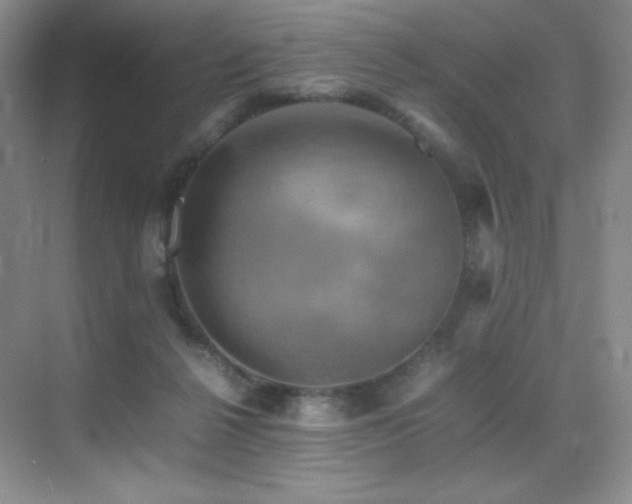 X0000070250264200606021203