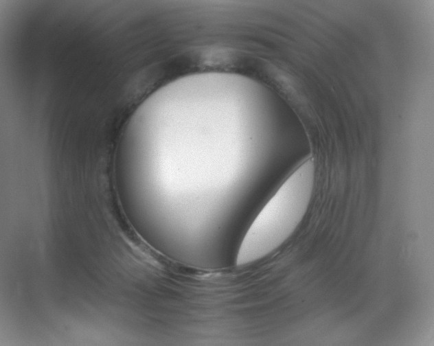 X0000070250269200606021203