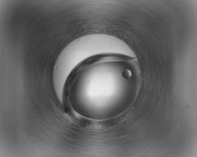 X0000070250276200606021204
