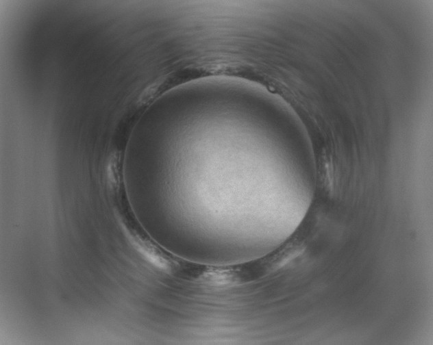 X0000070250280200606021204