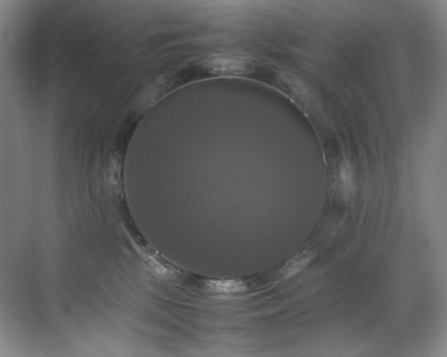 X0000070250281200606021204