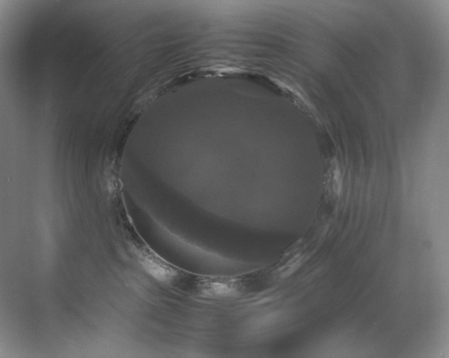X0000070250285200606021204