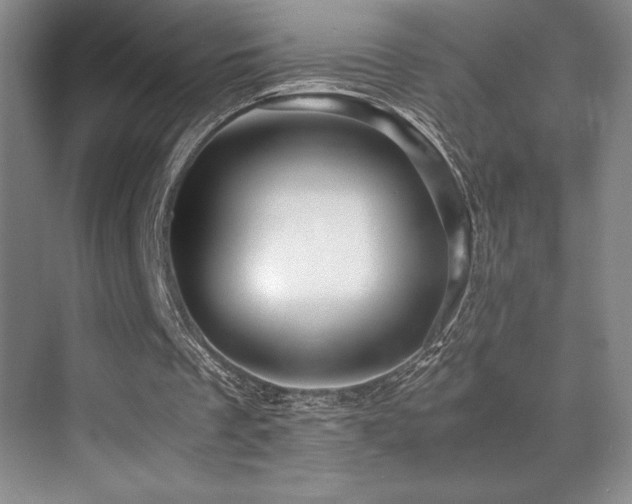 X0000070250289200606021203