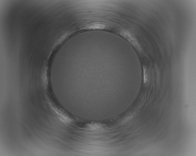 X0000070250300200606021203