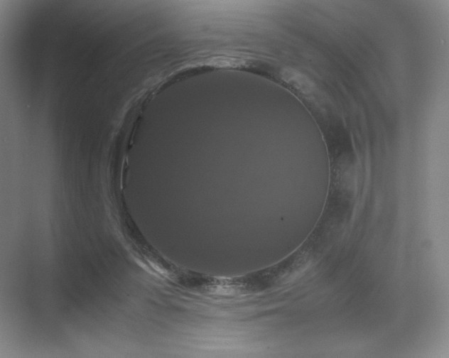 X0000070250303200606021203