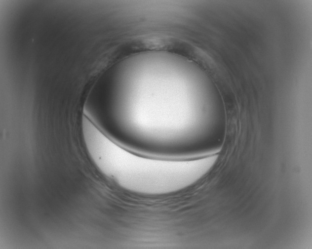 X0000070250317200606021202